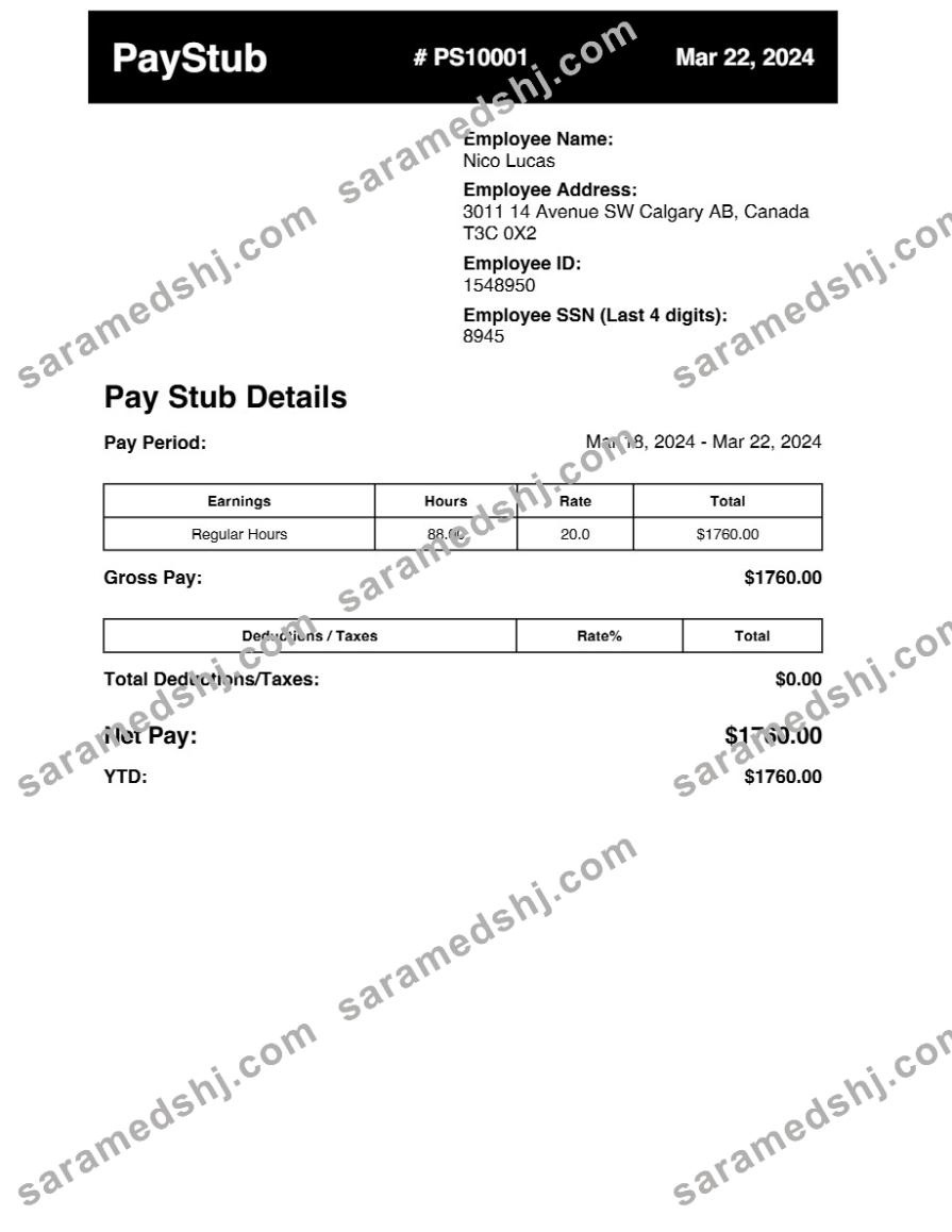 earnings pay stub template in Word and PDF formats.pdf, 1